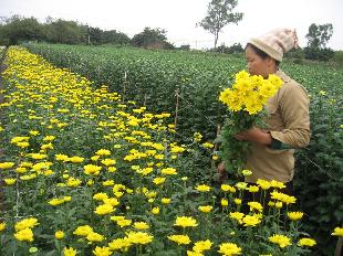 Отрасль сельского хозяйства привлекает инвестиционные проекты с применением высоких технологий